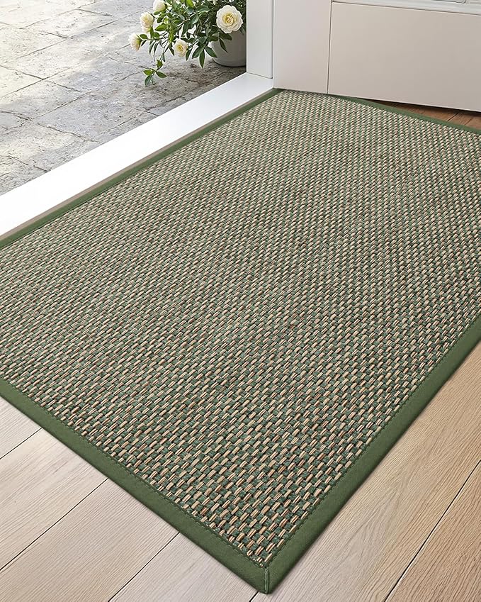DEXI Ultra Thin Entryway Indoor Door Mat 17x30, Non Slip Rubber Backing Inside by DEXI
