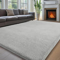 Sour Lemon 5x7 Area Rugs for Living Room, Soft Large Area Rug Fluffy Rugs for by SourLemon