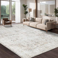 Washable 9×12 Area Rug for Living Room, Vintage Floral Rug Soft Non Slip Stain by Dotiiorug