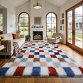 Shag Area Rug for Bedroom Living Room, 4x6 Fluffy Soft Colorful Checkered Rug by Boshengya