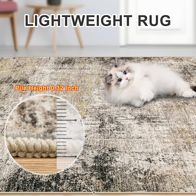 Area Rugs 10x12 Living Room - Image 7