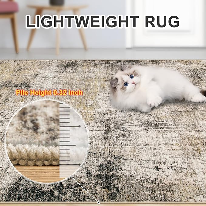 Area Rugs 10x14 Living Room - Image 7