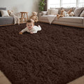 5x8 Area Rug for Living Room:Ultra Soft Fluffy Shag Brown Rugs, Large Fuzzy by Unknown