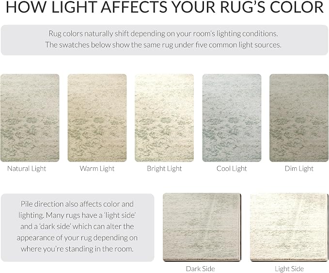 SAFAVIEH Adirondack Collection Area Rug - Image 8