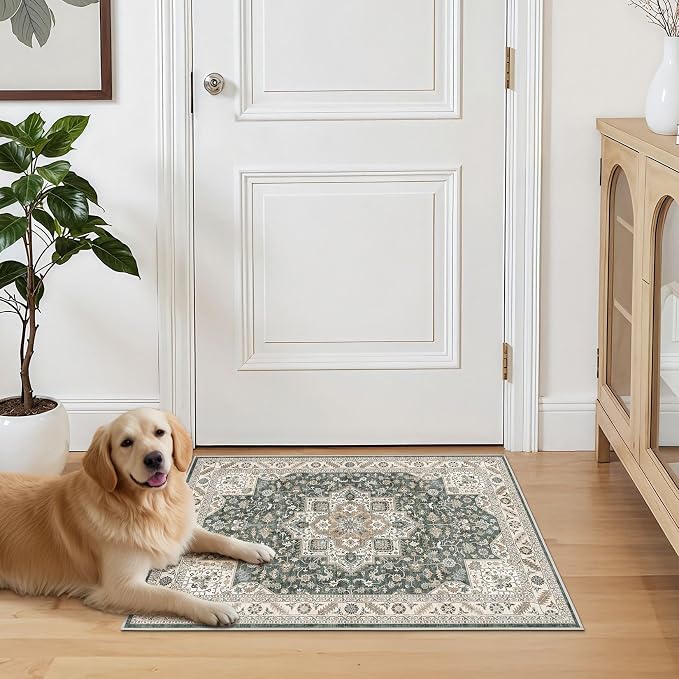 cotiled Vintage Living Room Area Rug 3x5 - Image 7