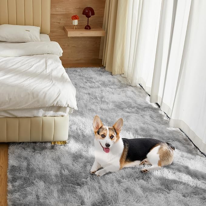 Ultra Soft Rug for Living Room, 4X6 Fluffy Shag Area Rug for Bedroom, Modern - Image 7