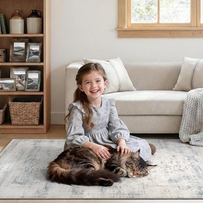 DCX 9x12 Haze Blue Rug, Machine Washable Stain Resistant Distressed Vintage Rug - Image 4