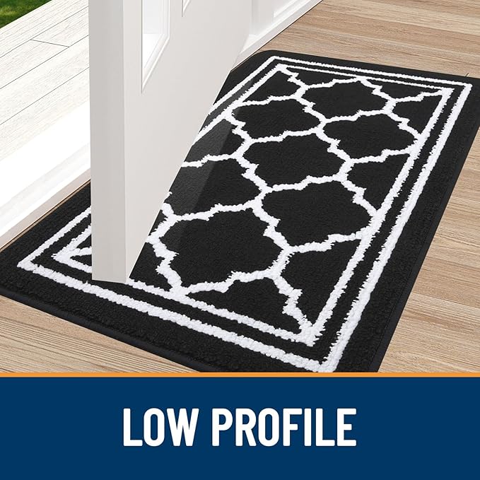 Buganda Large Indoor Door Mat, Dirt-Resistant and Absorbent Doormat, Low - Image 3