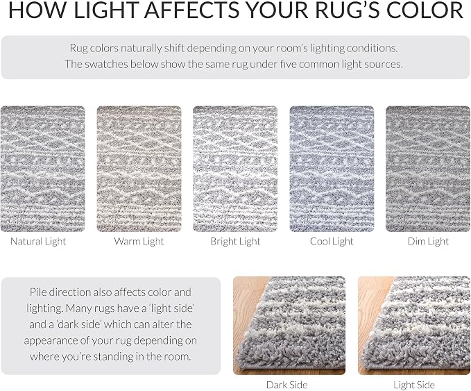SAFAVIEH Arizona Shag Collection Area Rug - Image 8