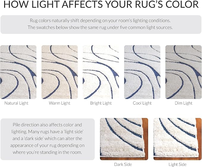 SAFAVIEH Florida Shag Collection Accent Rug - Image 7