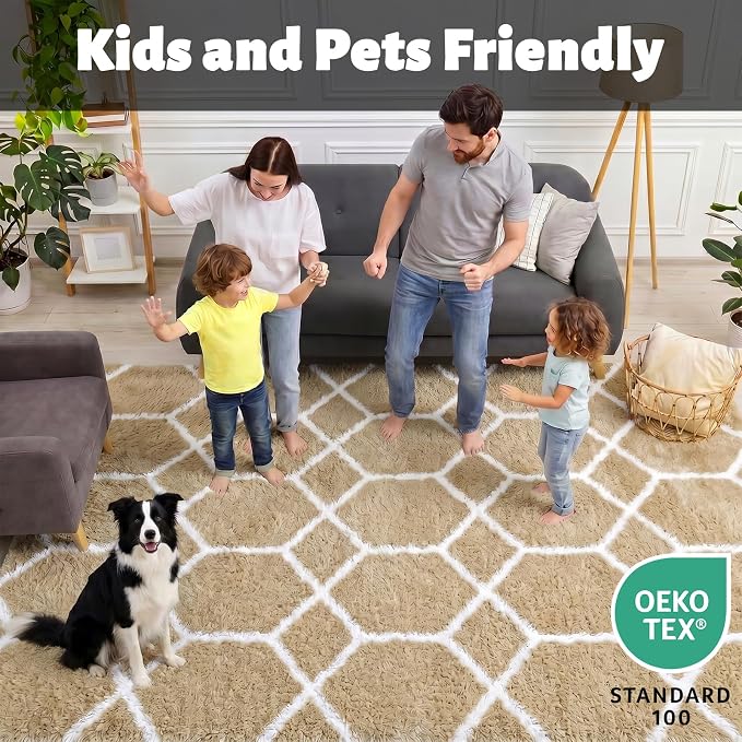 ONASAR 5x7 Area Rugs for Living Room Bedroom, Fluffy Beige and White Shag Rug - Image 3