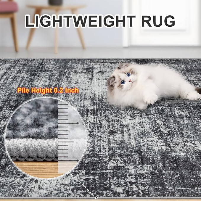 Area Rugs 10x12 Living Room - Image 6
