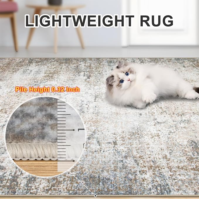 Area Rugs 9x12 Living Room - Image 5