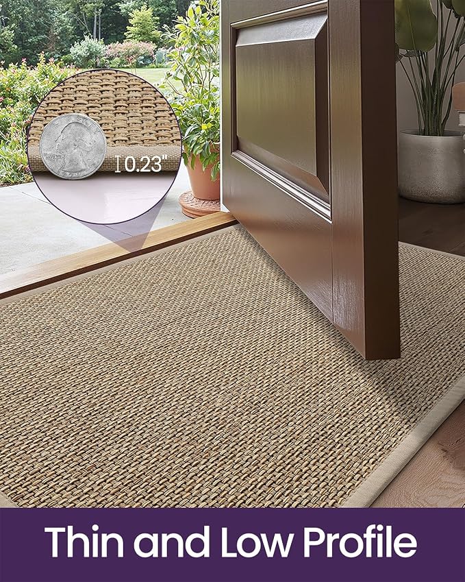 DEXI Ultra Thin Entryway Indoor Door Mat 24x36, Non Slip Rubber Backing Inside - Image 4