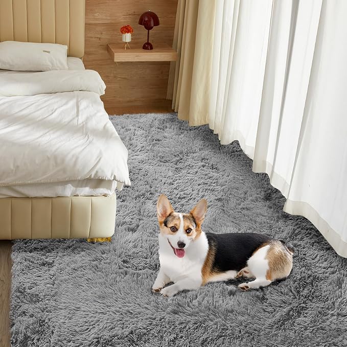 Ultra Soft Rug for Living Room, 4X6 Fluffy Shag Area Rug for Bedroom, Modern - Image 7