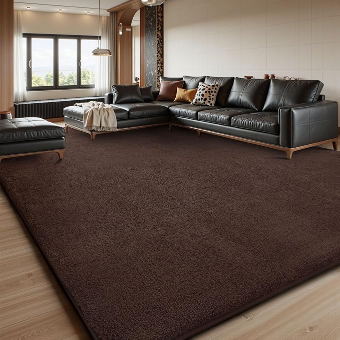 Sour Lemon 10x14 Area Rugs for Living Room, Soft Large Area Rug Fluffy Rugs for by SourLemon
