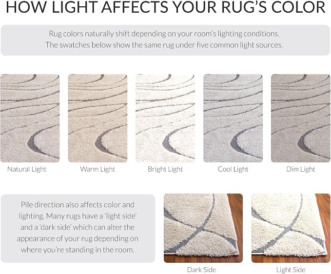 SAFAVIEH Florida Shag Collection Area Rug - Image 9