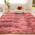 Litanika 5x8 Fluffy Shag Faux Fur Area Rug by Litanika