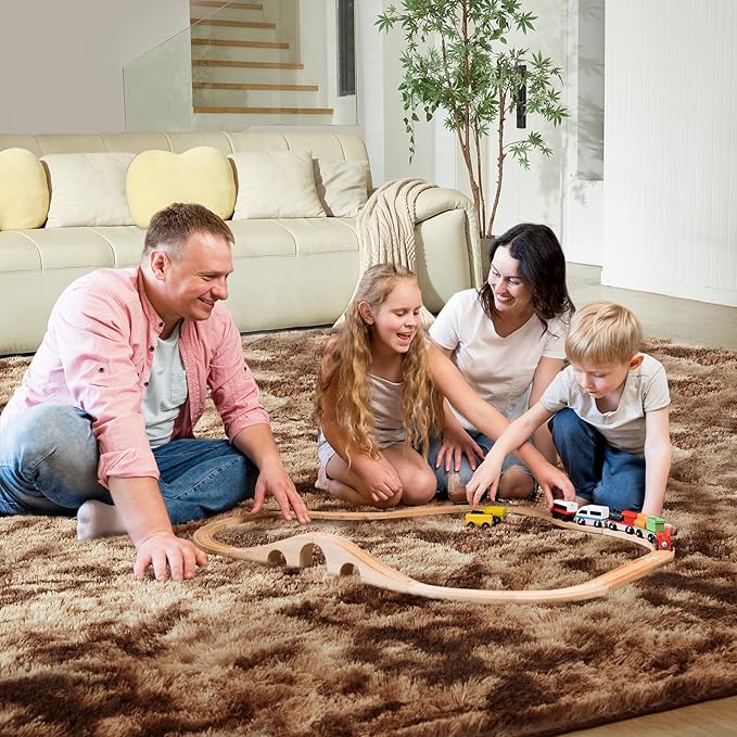 Ultra Soft Rug for Living Room, 4X6 Fluffy Shag Area Rug for Bedroom, Modern - Image 4