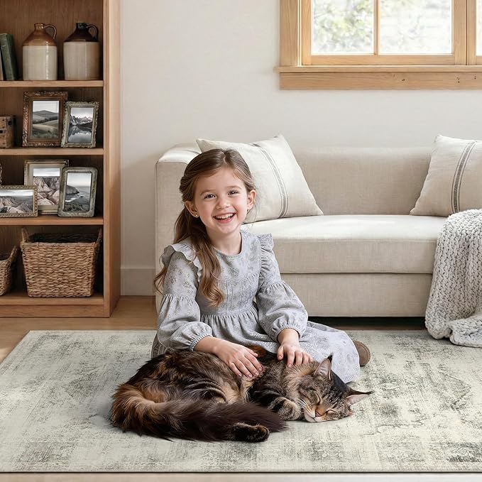 DCX 4x6 Beige Rug, Machine Washable Stain Resistant Distressed Vintage Rug - Image 6