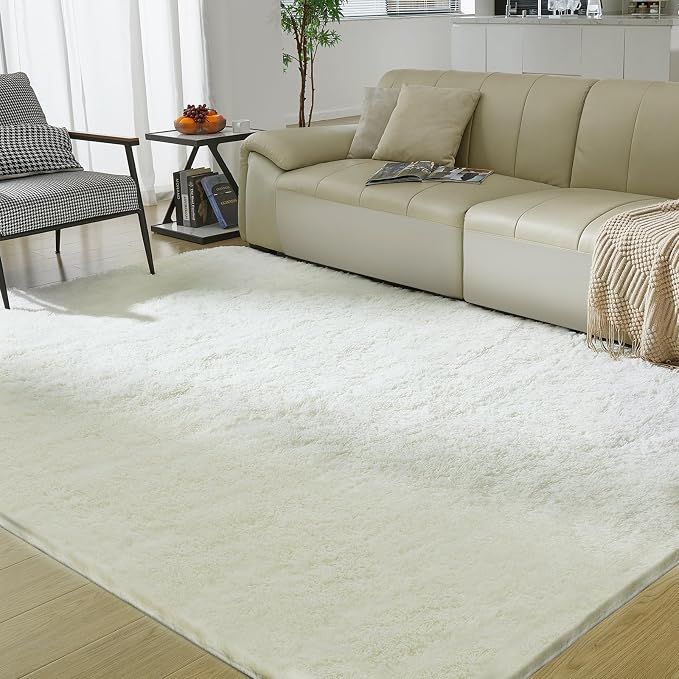 Ultra Soft Rug for Living Room, 6X9 Fluffy Shag Area Rug for Bedroom, Modern by Fairblink