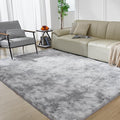 Ultra Soft Rug for Living Room, 6X9 Fluffy Shag Area Rug for Bedroom, Modern by Fairblink