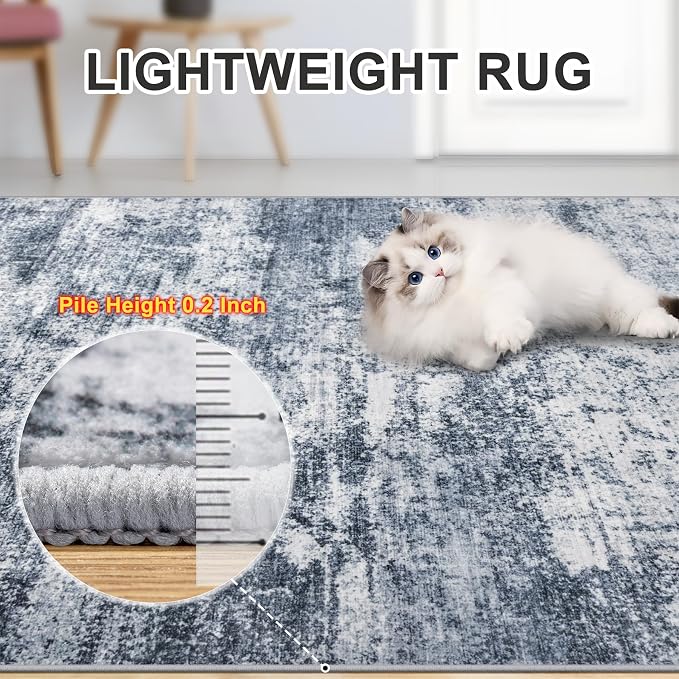 8x10 Area Rugs for Living Room - Image 6
