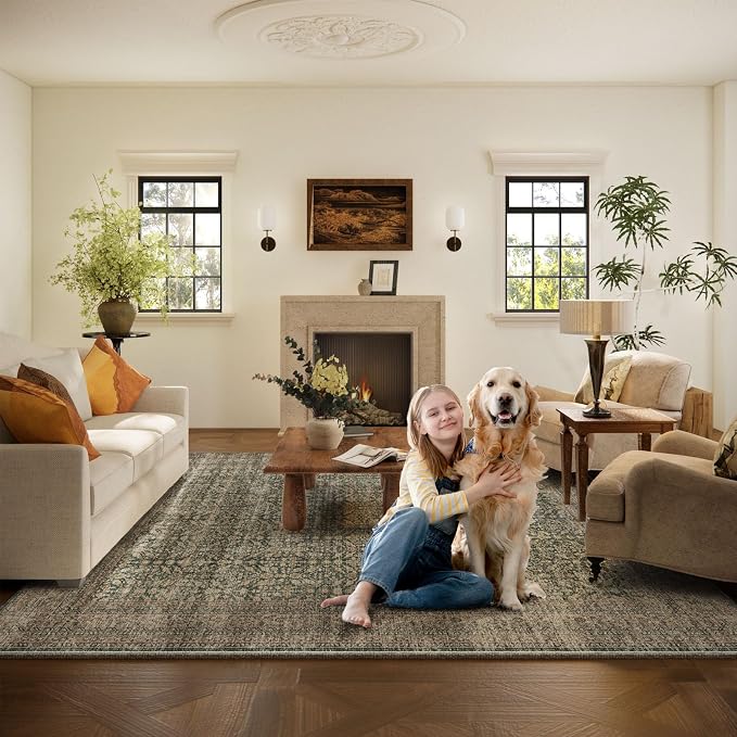 Machine Washable Rugs for Living Room: 8x10 Area Rugs Boho Vintage Rugs Stain - Image 6