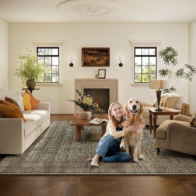 Machine Washable Rugs for Living Room: 6x9 Area Rugs Boho Vintage Rugs Stain - Image 6