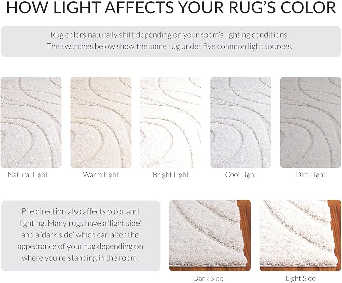 SAFAVIEH Florida Shag Collection Accent Rug - Image 8