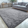 OLANLY 5x6 Area Rugs for Living Room Bedroom, Machine Washable Soft Fluffy by OLANLY