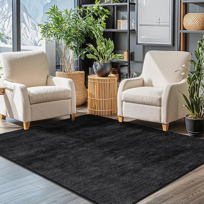 LIANLAM Washable 3x5 Entry Rugs by LIANLAM