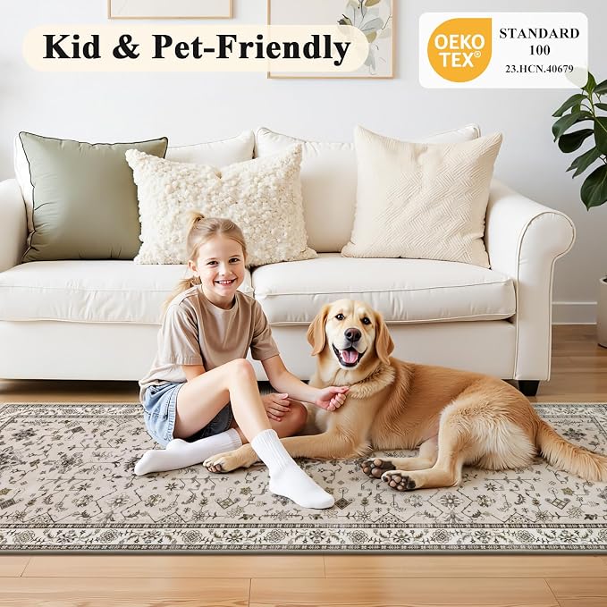 HEBE Washable Aera Rug 2'x 3' Non Slip Door Mat Indoor Entrance, Low Pile - Image 7