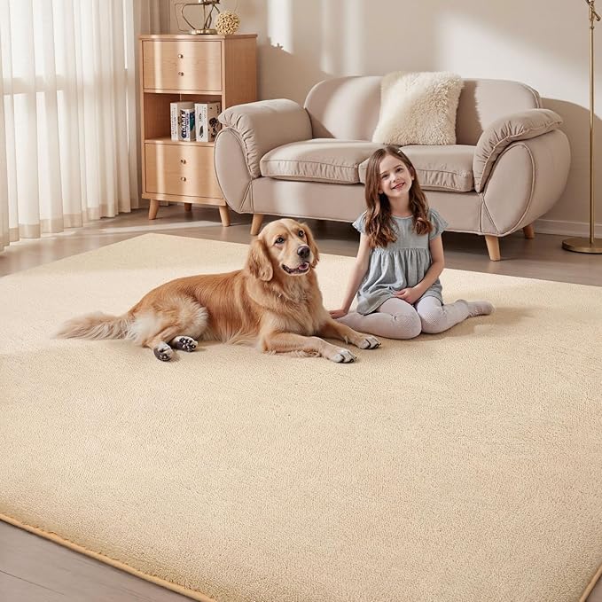 Sour Lemon 10x14 Area Rugs for Living Room, Soft Large Area Rug Fluffy Rugs for - Image 5