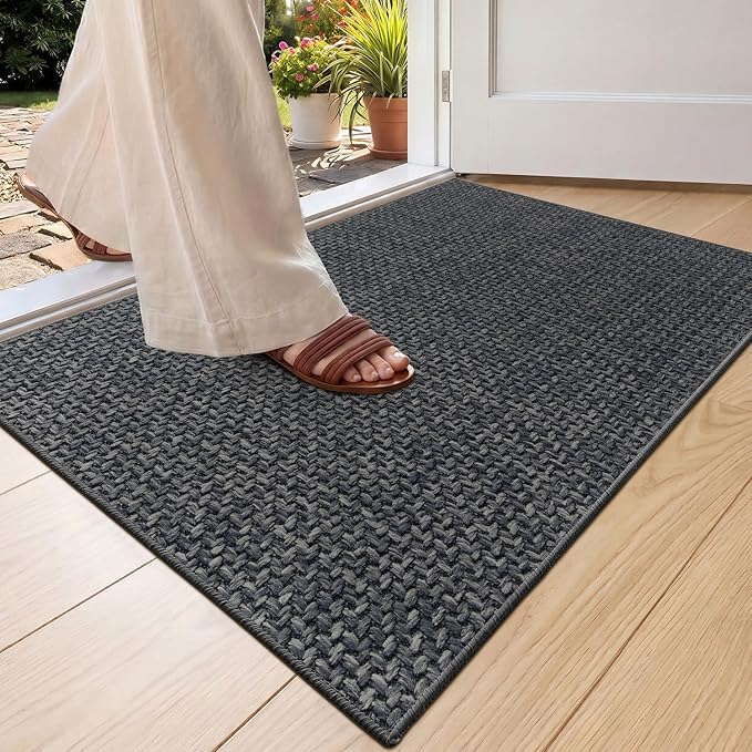 Color&Geometry Ultra Thin Indoor Door Mat 17"x30", Non Slip Rubber Backed Dirt by COLORG
