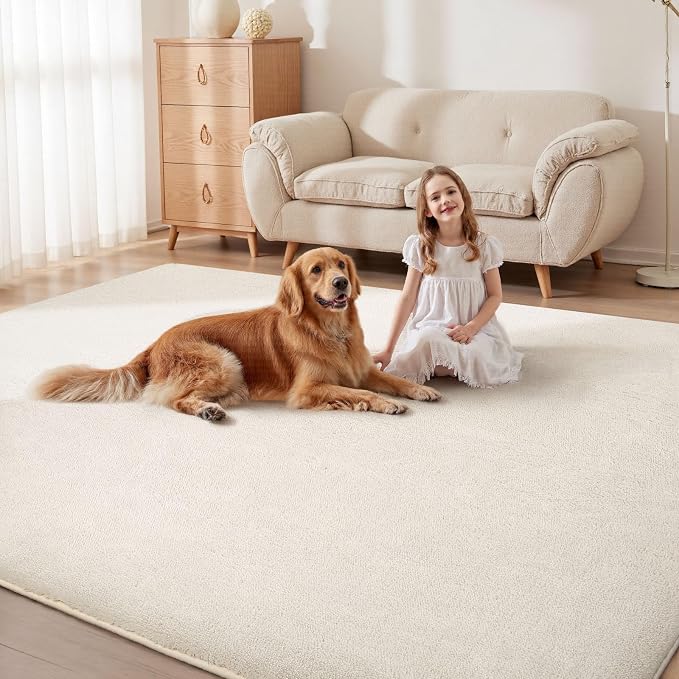 Sour Lemon 5x7 Area Rugs for Living Room, Soft Large Area Rug Fluffy Rugs for - Image 6