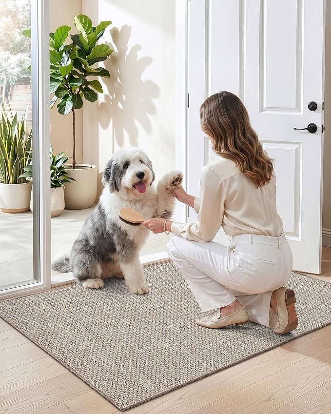 DEXI Ultra Thin Door Mat Indoor Entrance 32x48, Non Slip Rubber Backed Entryway - Image 9
