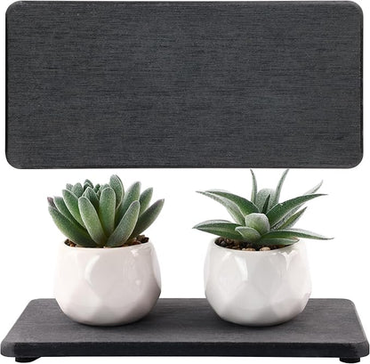NiuYichee 2 Pcs Water Absorbing Stone Trays, Kitchen/Bathroom Sink Soap Dish by NiuYichee