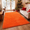 Shag Area Rugs for Bedroom Living Room, Indoor Carpet Plush Rugs for Home by Boshengya