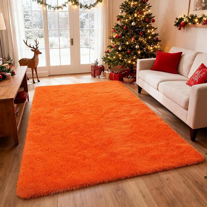 Shag Area Rugs for Bedroom Living Room, Indoor Carpet Plush Rugs for Home by Boshengya