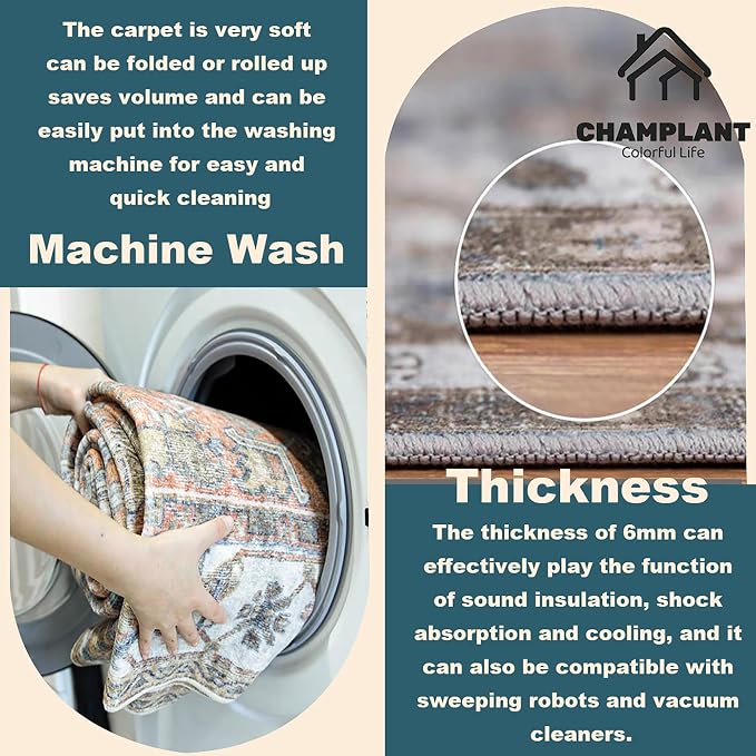 CHAMPLANT Washable Area Rug 10x14 Boho Chic Medallion Distressed Design - Image 3