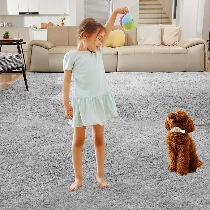 Ultra Soft Rug for Living Room, 4X6 Fluffy Shag Area Rug for Bedroom, Modern - Image 7