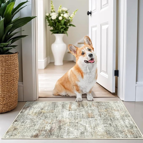2x3 Washable Rug Runner for Bathroom, Soft Entryway Rug for Laundry Room by Restydon