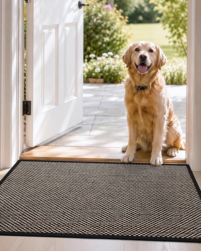 DEXI Ultra Thin Entryway Indoor Door Mat 32x48, Non Slip Rubber Backing Inside - Image 9