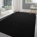 Pettop 4x6 ft Black Area Rugs for Bedroom Living Room, Washable Memory Foam by Pettop