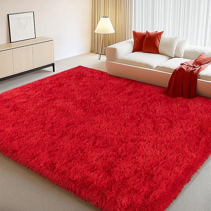 Large Shag Rugs 6 x 9, Soft Fuzzy Plush Carpet by WISHTREE