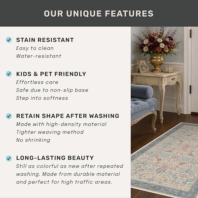 Boho Natural Red Blue 3x5 Entryway Rug, Washable Mudroom Area Rug, Modern - Image 6