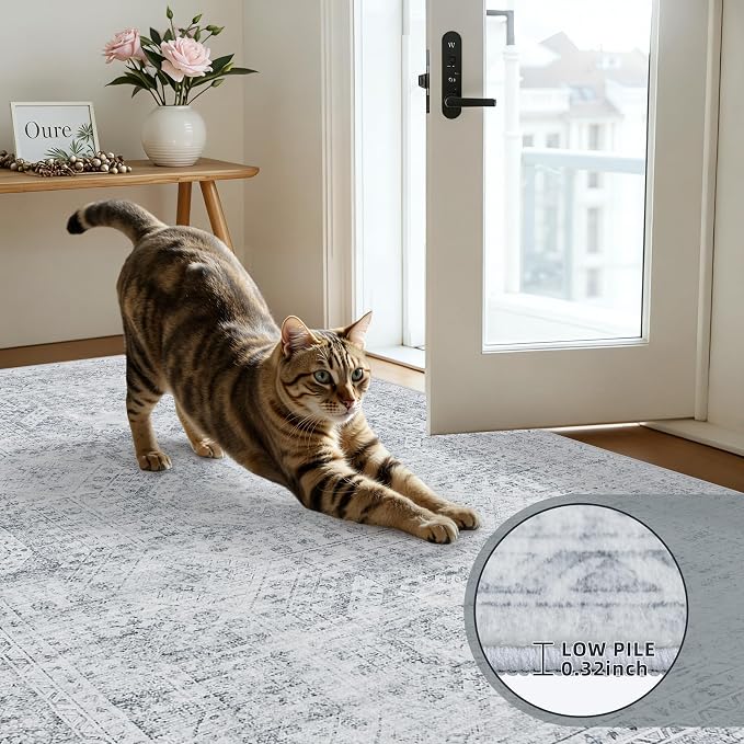 4x6 Area Rugs for Living Room: Vintage Boho Neutral Washable Rug Indoor Soft - Image 7