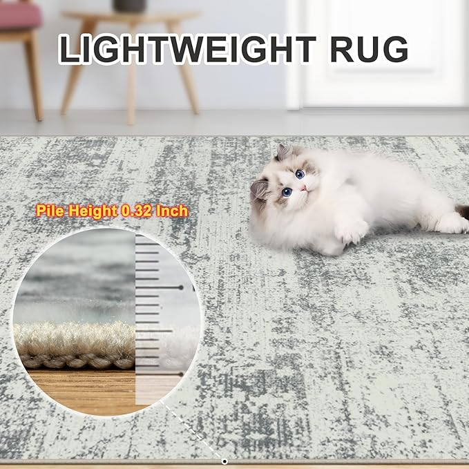 Area Rugs Living Room Rug - Image 7