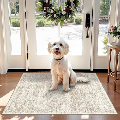 2x3 Feet Washable Entryway Rug, Non-Slip Small Kitchen Throw Mat by BYYVOORugsforYourHome